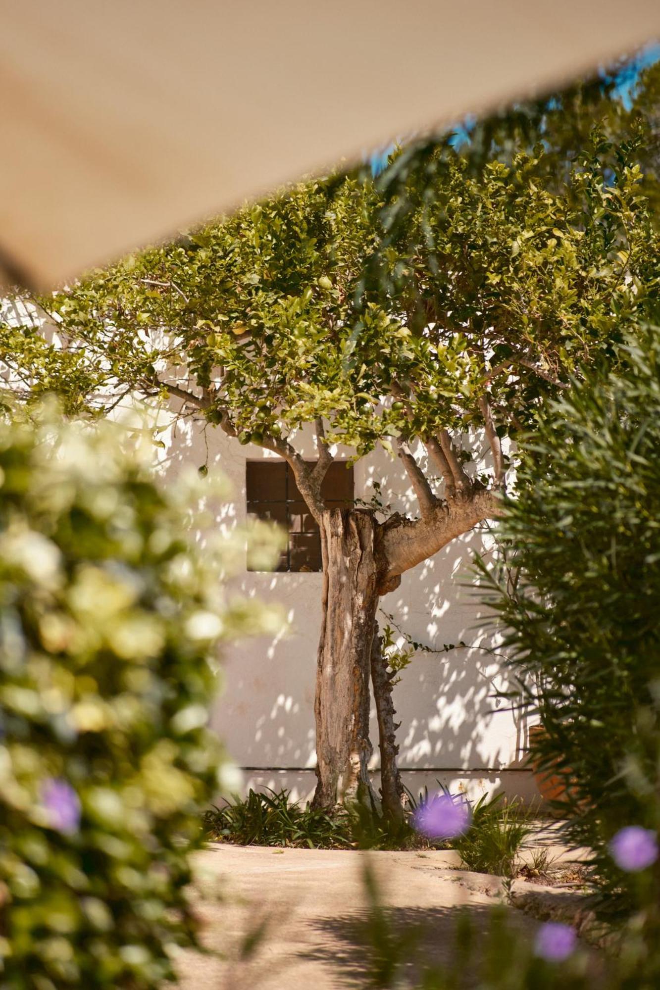 The Guardian House Ξενοδοχείο Santa Gertrudis  Εξωτερικό φωτογραφία