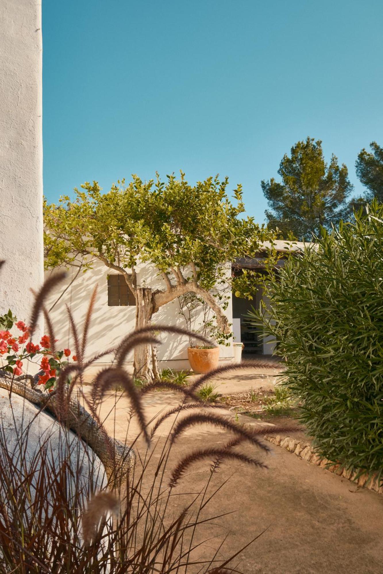 The Guardian House Ξενοδοχείο Santa Gertrudis  Εξωτερικό φωτογραφία